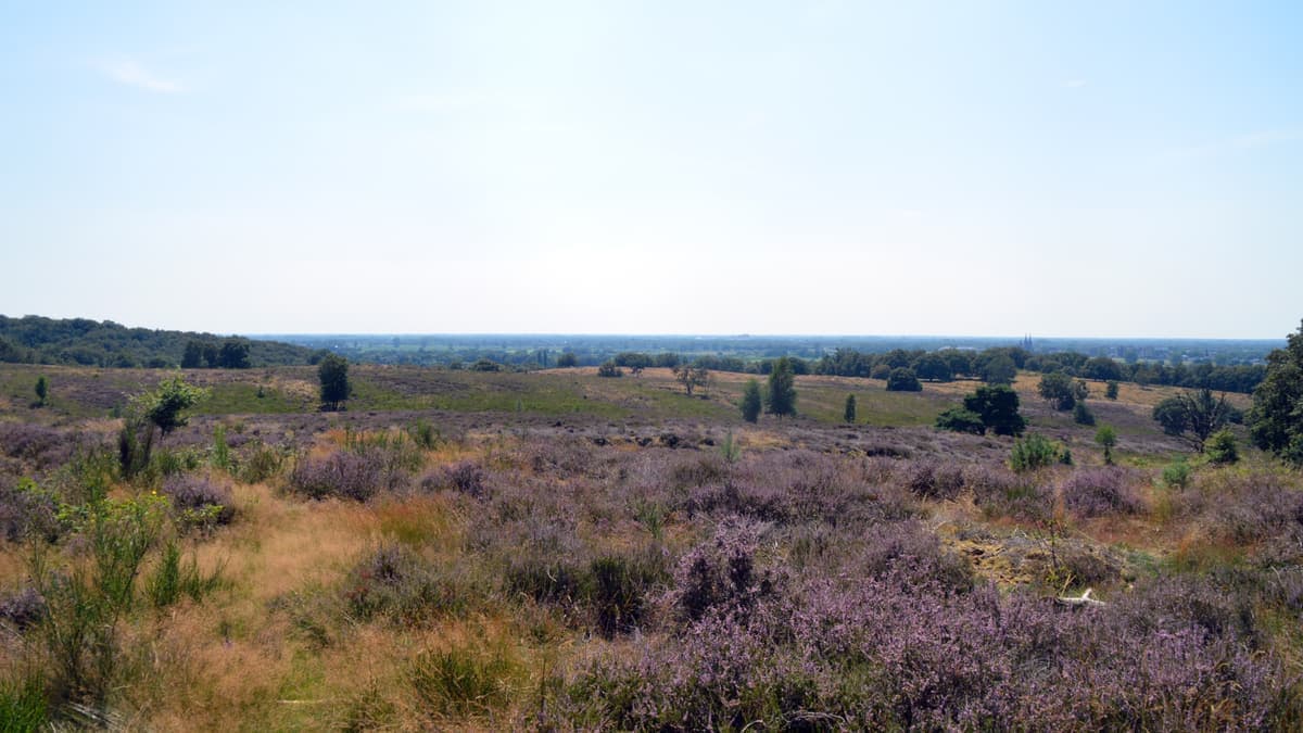 Mountainbiken in Limburg