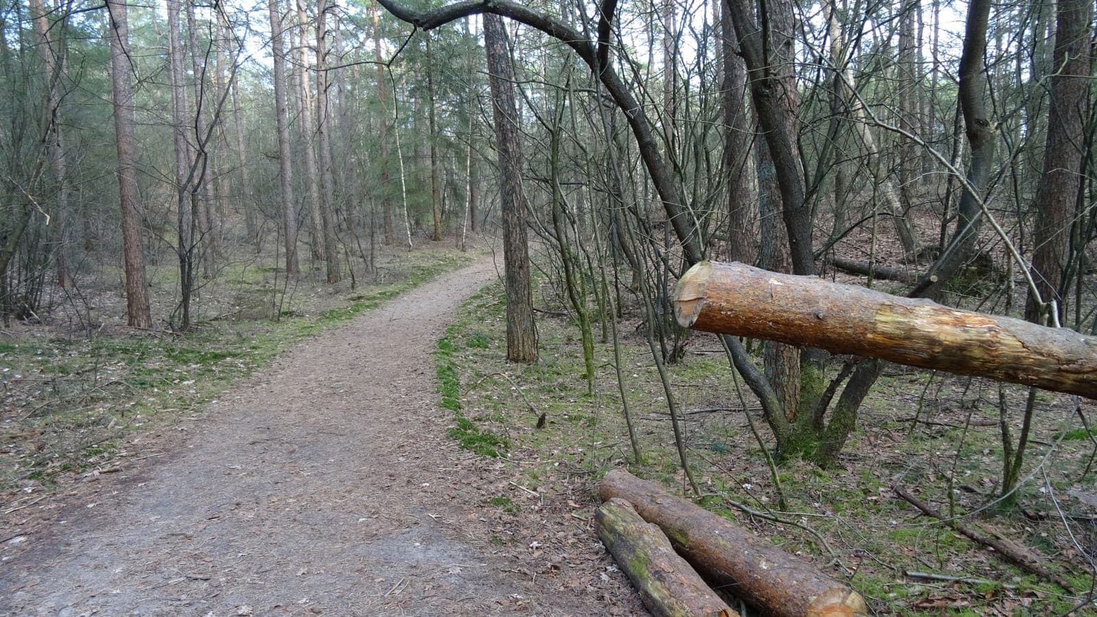 Mountainbiken in Friesland