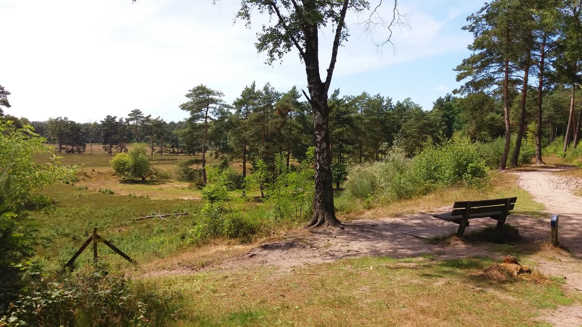 Zandafgraving in het Zeisterbos bij Boswachterij Austerlitz